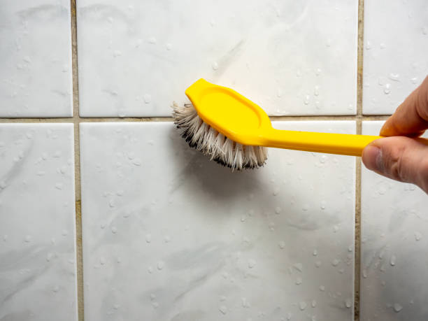 Best Mold Cleaning Services  in Fredericksburg, VA