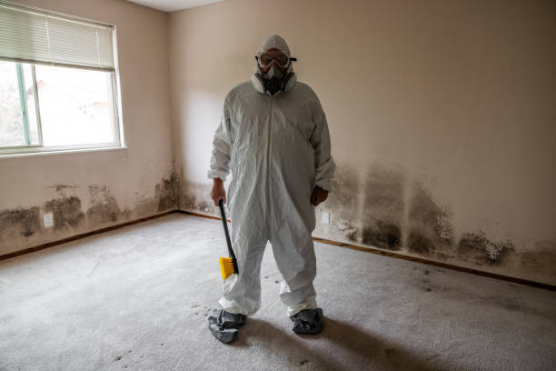 Best Toxic Mold Removal  in Fredericksburg, VA